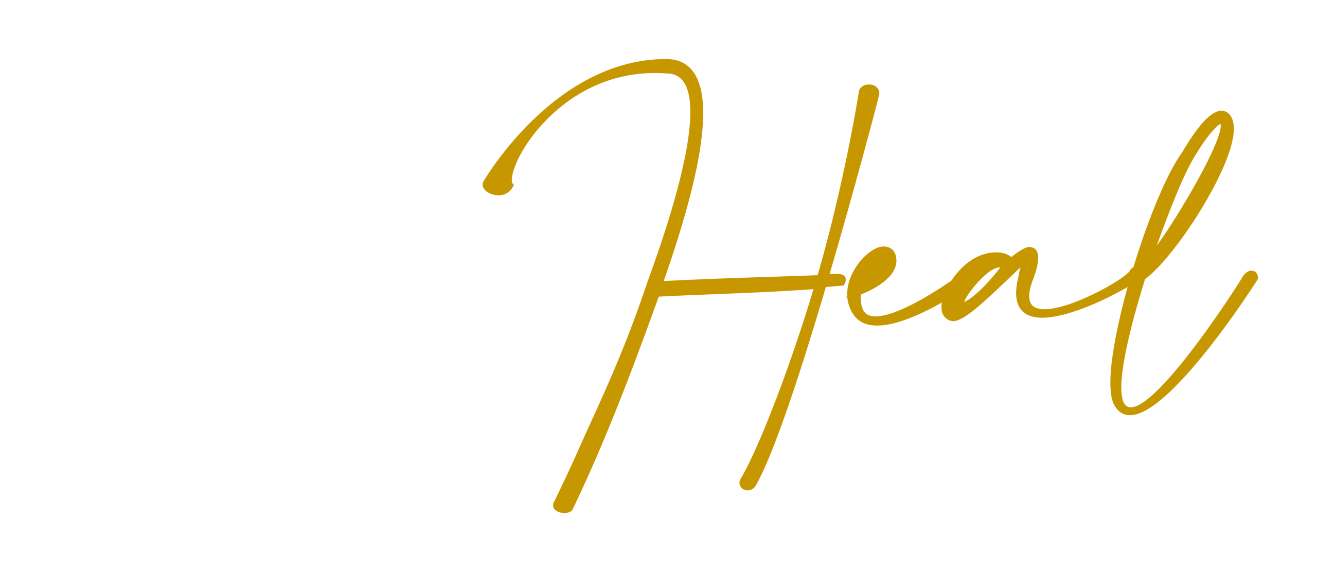  EverHeal Medical